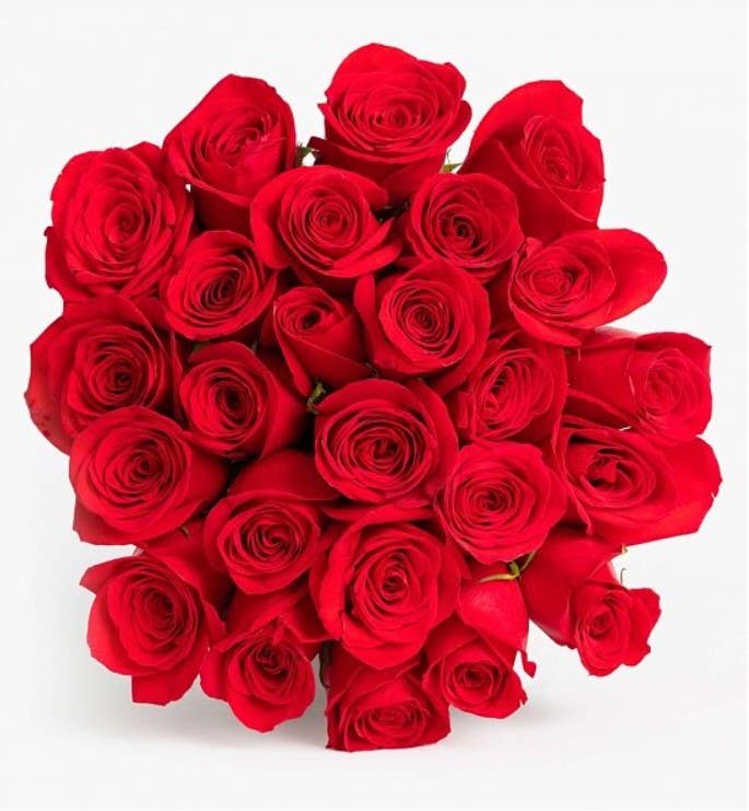 single in South Carolina sucks