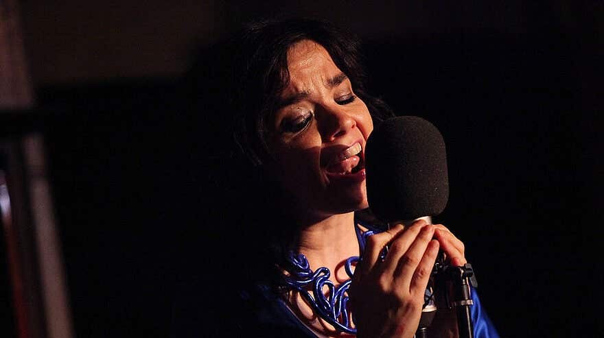 Singer Bjork and The Dirty Projectors perform onstage at Housing Works Bookstore Cafe's "Live from Home" benefit concert series at Housing Works Bookstore Cafe on May 8, 2009 in New York City.