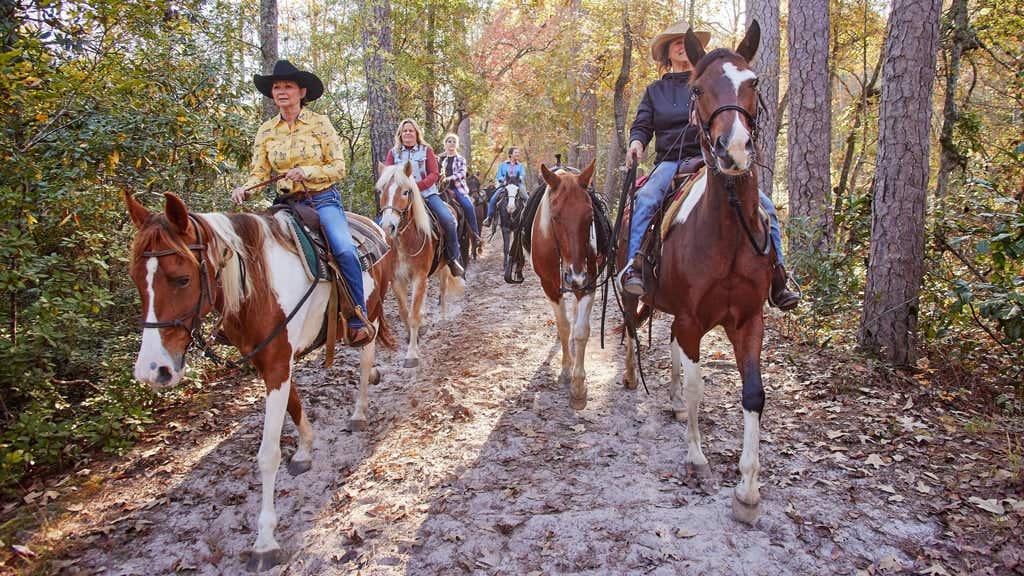 visit aiken horse riding