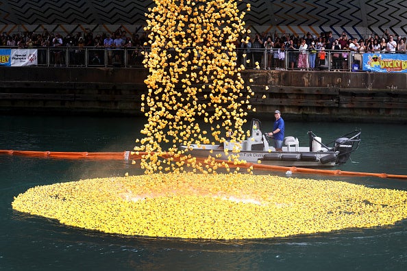 Hundreds of Ducks in a river -- Augusta Duck Dash