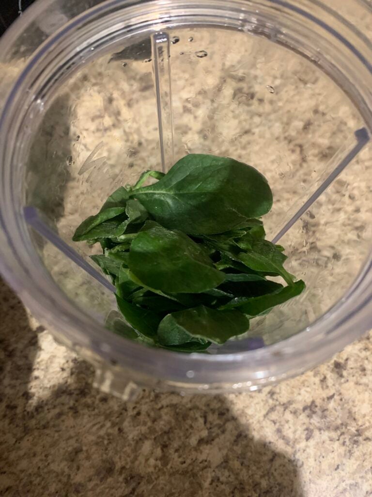 Spinach in blender cup